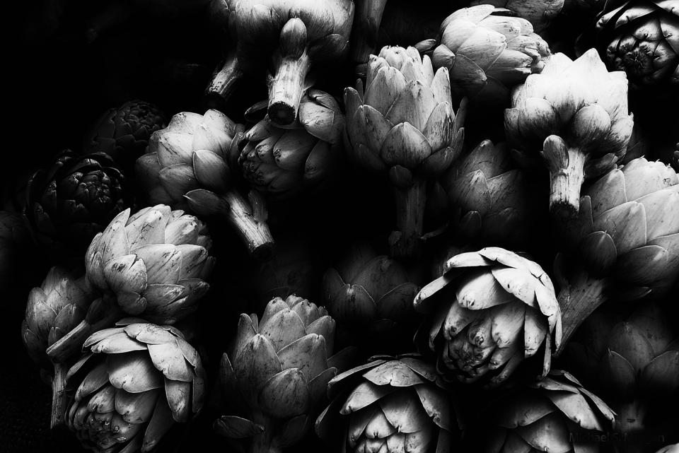 Artichokes | Shutterbug